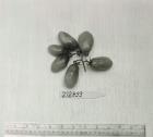 Click for 1 image(s) for this accession. FRUIT